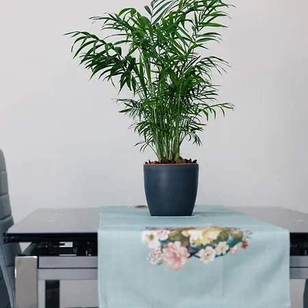 Estia Comfort House Будинок відпочинку *